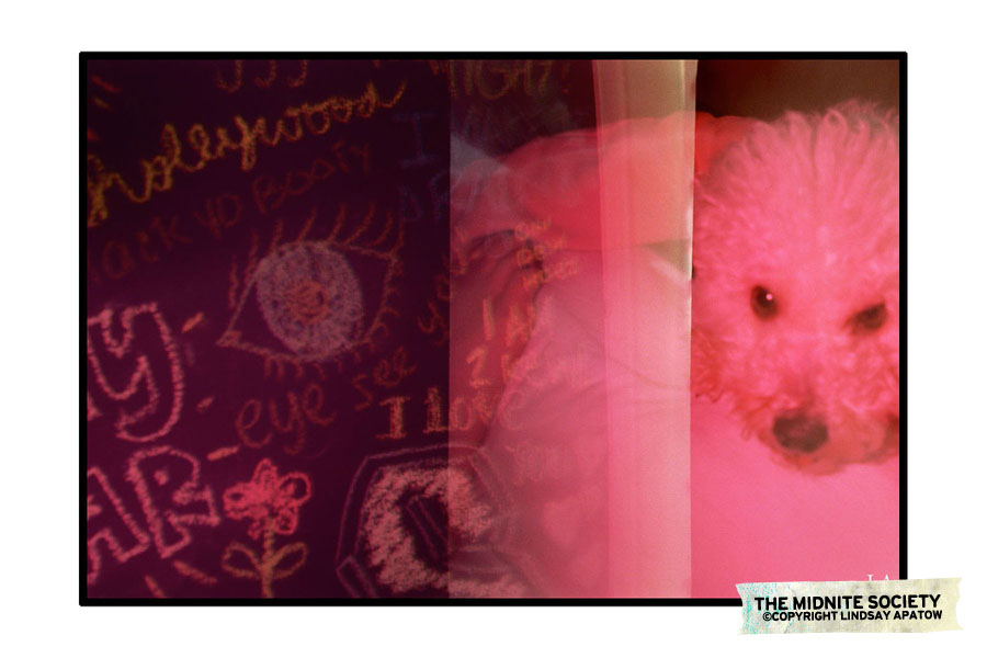 604797218_a0187c227d_b