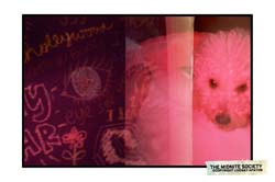 604797218_a0187c227d_b