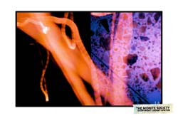 2199748567_750c0509fa_b