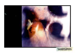 2282182715_f053a8d561_b