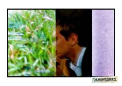 2282183255_926a7c4b6a_b