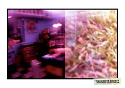 2282972578_244c1f8b3b_b