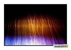 2282973004_90f9dc2322_b