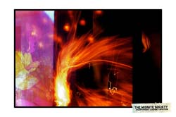 2486706365_940f010d33_b