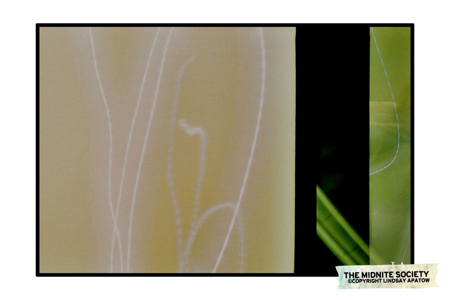 2539328345_d06a38d82d_b