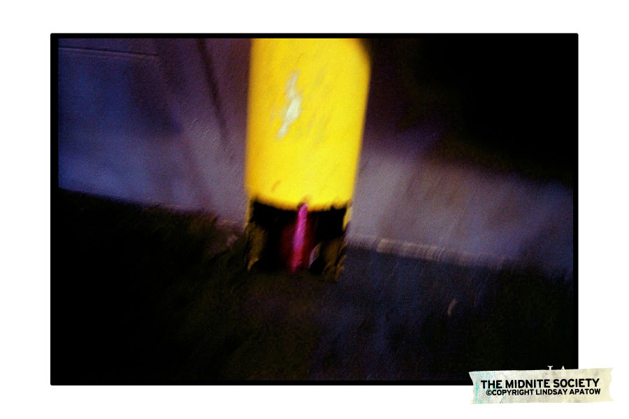 2544494822_bca26e7055_b