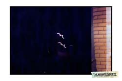 2544490770_8bf2227e2b_b