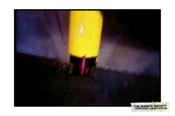 2544494822_bca26e7055_b