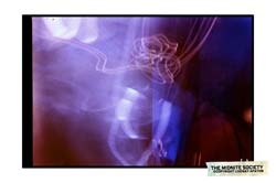 2562833923_a9fb422fd9_b