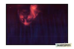 2569203113_f3c0a2d377_b