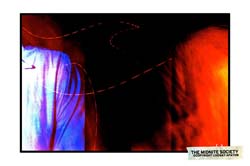 2569203811_632b5e24fe_b