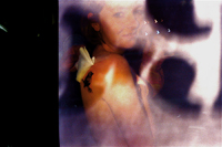 Lindsay Apatow, The Midnite Society