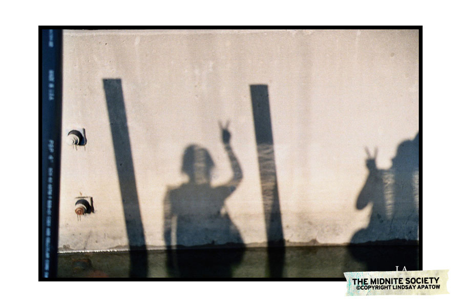 875162716_67227158d6_b