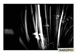 2290360708_5dae73a9f0_b