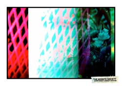 2290583722_ce997bec4b_b