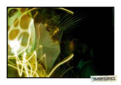 2290587398_5d4daed769_b